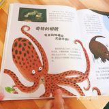 两岁的女孩对小动物都特别喜欢