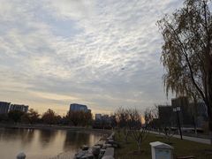 -西海子公园