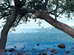 -西昌邛海湿地