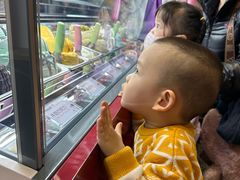 -Vola Gelato意大利手工冰淇淋(朝阳大悦城店)