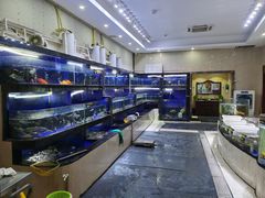 水产区-巨元河鲜酒楼·清远特色菜名店(英德店)