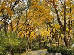 -千佛山风景名胜区