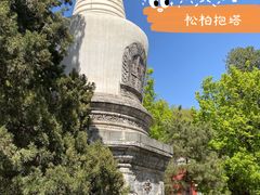 -大觉寺-停车场