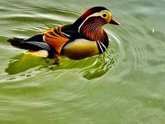 -中央广播电视塔