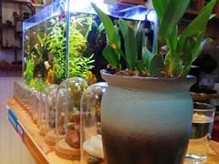 -Rabbit Cafe私房西餐甜点咖啡(栖霞路店)