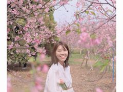 -天适樱花悠乐园