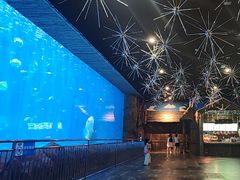 -华夏文旅西安度假区