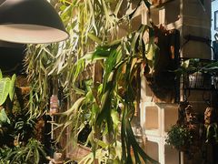 -自由生长植物工作室(深港花卉中心店)