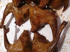 -百利鸽王(紫薇路店)