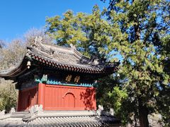 -香山公园