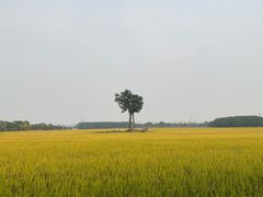 -嘉北郊野公园