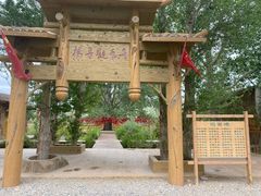 -金塔沙漠胡杨林景区