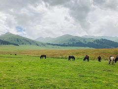 -新疆那拉提国家旅游度假区