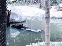 -上海野生动物园