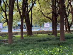 -东怡大酒店(上海科技馆店)