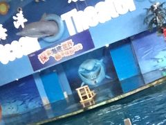 -苏州海洋馆