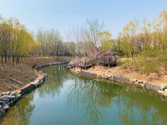 -大兴滨河森林公园