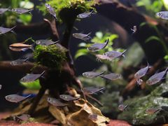 -艾溪湖湿地公园