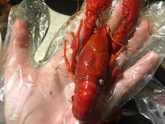 -沪小胖小龙虾(淮海中路旗舰店)