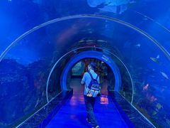 -威海华夏城景区