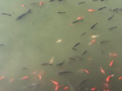 -迎泽公园
