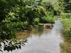 -中国茶叶博物馆(双峰馆区)