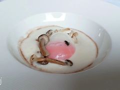 -蝶舍·MAISON PAPILLON