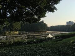 -广州都市观光巴士(粤陶巴)