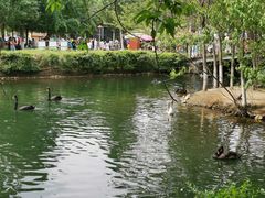 -长白岛森林公园