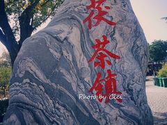 -茯茶镇