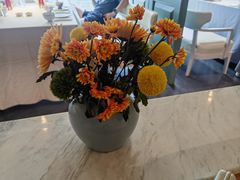 -南堂馆·新川菜(春熙路店)