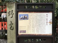 -野宫神社