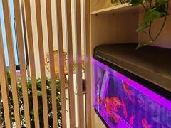 -智慧盲人按摩艾灸-颈肩腰膝疼痛调理(浦东店)