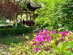 -太子山公园(园东路)