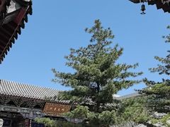 -长安寺
