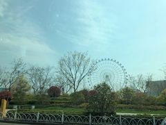 -琴岛之星摩天轮