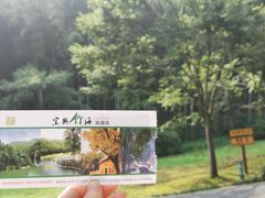 -周震馄饨