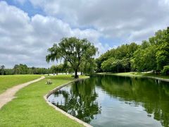 -上海共青森林公园