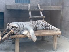 -西安秦岭野生动物园
