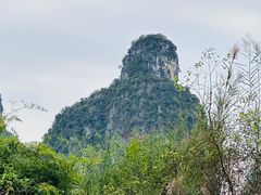 -明仕田园