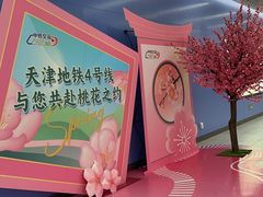 -桃花堤公园