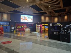 -万达影城(闵行颛桥万达广场杜比影院店)