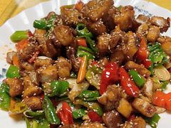 -煲来饱去冷水鱼