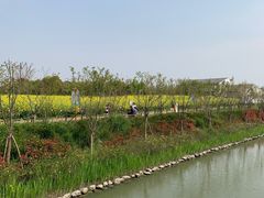-柳鹭田园区