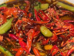 -杨氏青龙虾·羊蝎子(托乐嘉店)
