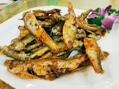 -瑞记湛江鸡饭店·粤西第一鸡(粤垦店)