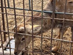 -清风小镇闯关东影视基地