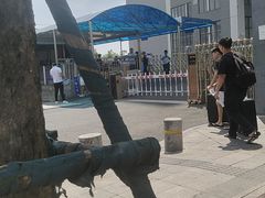 -东莞市大岭山森林公园