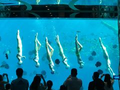-瑞德姆美人鱼海底演艺主题餐厅(亚龙湾店)