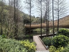 -云溪植物园